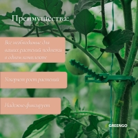 Набор для крепления растений: проволока - 18 м, прищепки - 18 шт., подвязки 24 см - 12 шт., Greengo