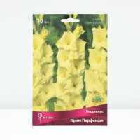 Гладиолус крупноцветковый &laquo;Крим Перфекшн&raquo;,луковица цветов в пакете с перфорацией, р-р 10/12, 10 шт.
