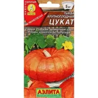 Набор семян Тыква крупноплодная "Цукат",  5 шт.