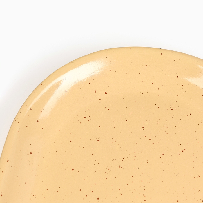 Блюдо овальное Блюдо овальное "Борисовское" 2,5х31х22см, каракум