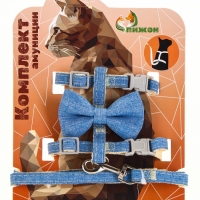 Комплект амуниции "Леди и Джентельмен", поводок 120 х 1 см, синий