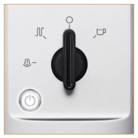 Рожковая кофеварка Calvi XP344010, давление 15 бар