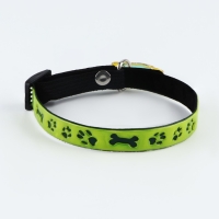 Ошейник светоотражающий &laquo;Лапки&raquo; с подвесом, 30 х 1 см, цвет зелёный