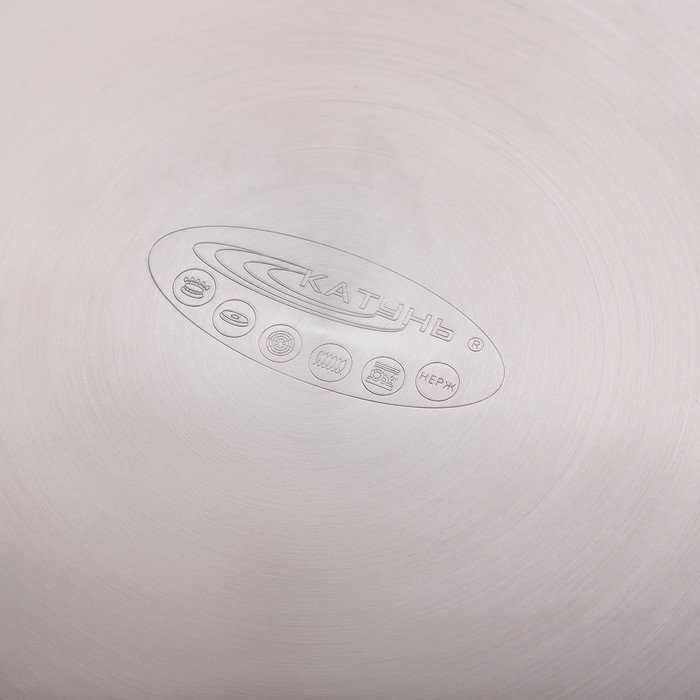 Кастрюля &laquo;Титан&raquo;, 14.5 л, d=28 см, h=24 см, капсульное дно, индукция