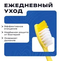 Зубной набор: зубная щетка 16 см + зубная паста 3 г