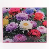 Алмазная вышивка полное заполнение "Астры", на раме, 40*50 см