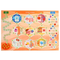 Настольная игра «Викторина. Как устроен человек?», 7-12 лет Настольная игра «Викторина. Как устроен человек?», 7-12 лет