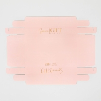 Упаковка кондитерская &laquo;Special gift&raquo;, 22 х 8 х 13,5 см
