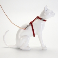 Комплект амуниции "Жаккард", поводок 120 х 1 см, красный