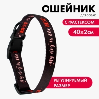 Ошейник My dog is the best, застёжка - фастекс, 2 см 25-40 см Ошейник My dog is the best, застёжка - фастекс, 2 см 25-40 см