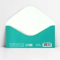 Конверт для денег &laquo;Поздравляю&raquo;, 16.5&times;8 см