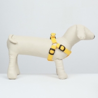 Шлейка светящаяся размер M, стропа 2,5 см, ОГ 38-50 см, 3 режима свечения жёлтая Шлейка светящаяся размер M, стропа 2,5 см, ОГ 38-50 см, 3 режима свечения жёлтая