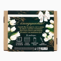 Подарочный набор «Дорогому учителю»: планинг,ежедневник, ручка, термостакан Подарочный набор «Дорогому учителю»: планинг,ежедневник, ручка, термостакан