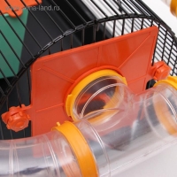 Клетка для грызунов "Саквояж", малая, с лабиринтом, 40 х 25 х 21 см, микс цветов Клетка для грызунов "Саквояж", малая, с лабиринтом, 40 х 25 х 21 см, микс цветов