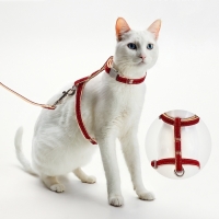 Комплект амуниции "Жаккард", поводок 120 х 1 см, красный