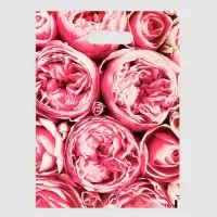 Пакет полиэтиленовый с вырубной ручкой "Пионы", розовые, 30х40 см, 50 мкм