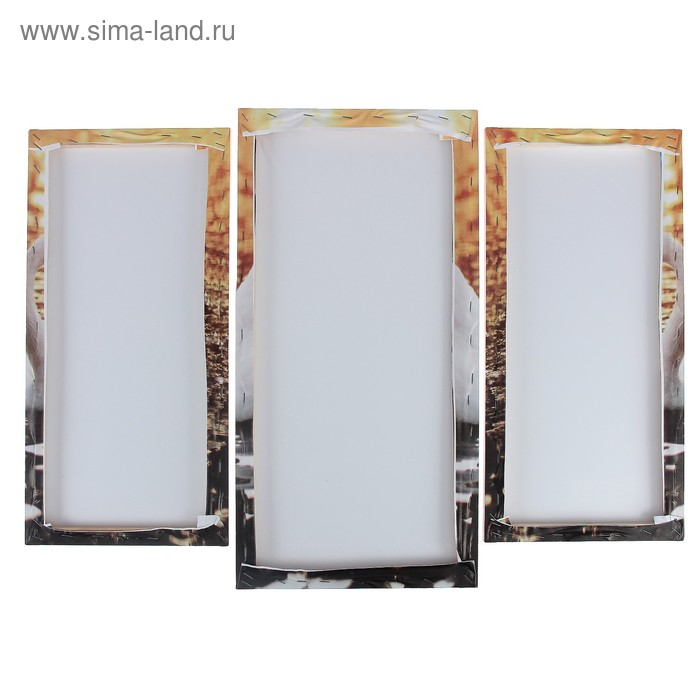 Модульная картина "Лебединое озеро"  (2-25х52; 1-30х60) 60х80 см