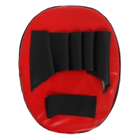 Набор для бокса &laquo;Техника удара&raquo;