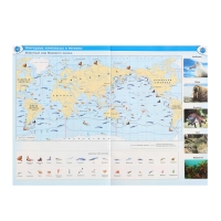 География &laquo;Атлас 7 класс&raquo;