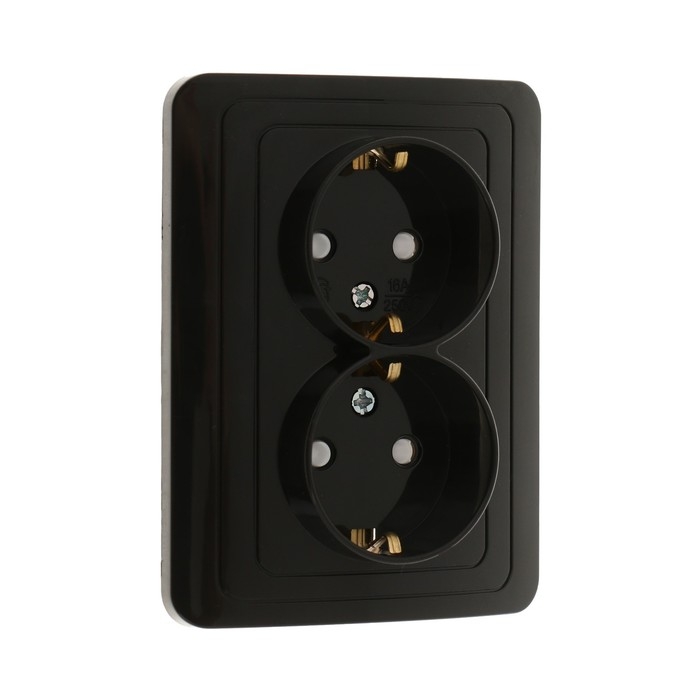 Розетка двухместная со шторкой Luazon Lighting "Орион", 16 А, скрытая, с з/к, черная