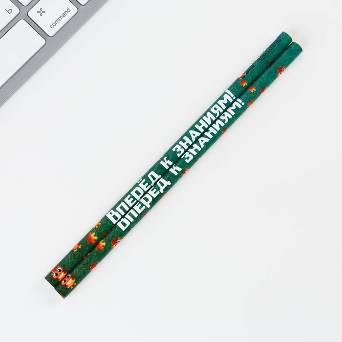 Канцелярский набор на выпускной &laquo;Удачи тебе, выпускник!&raquo; 4 предмета