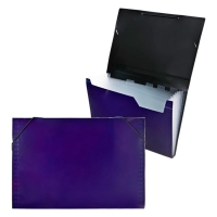 Папка картотека А4, Calligrata TOP DeLuxe, 6 отделений, пластиковая, 1000 мкм, черничная Папка картотека А4, Calligrata TOP DeLuxe, 6 отделений, пластиковая, 1000 мкм, черничная