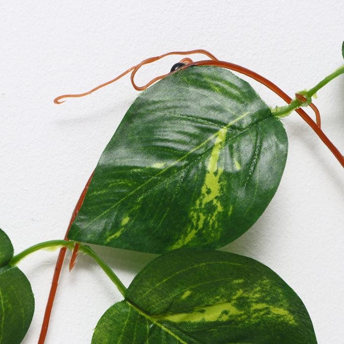 Лиана Лиана "Лист с полоской" 250 см (в упаковке 5 шт)