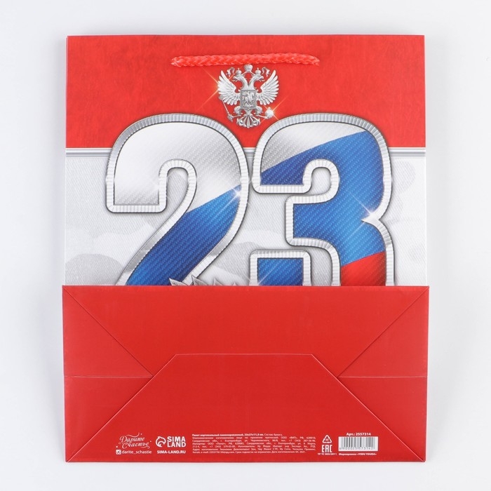 Пакет подарочный ламинированный вертикальный, упаковка, &laquo;23 февраля!&raquo;, ML 23 х 27 х 11,5 см