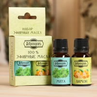 Набор эфирных масел лимон, мята "Добропаровъ", 2 шт по 17 мл Набор эфирных масел лимон, мята "Добропаровъ", 2 шт по 17 мл