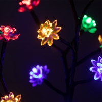 Светильник на солнечной батарее "ЭРА", "Сакура" 32 см, IP44, 16LED, 1реж, МУЛЬТИ Светильник на солнечной батарее "ЭРА", "Сакура" 32 см, IP44, 16LED, 1реж, МУЛЬТИ