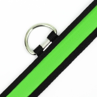 Ошейник с подсветкой Flash 3 режима свечения размер М, ОШ 40-48 х 2,5 см зелёный Ошейник с подсветкой Flash 3 режима свечения размер М, ОШ 40-48 х 2,5 см зелёный