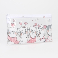 Косметичка-пенал на молнии, цвет прозрачный Косметичка-пенал на молнии, цвет прозрачный