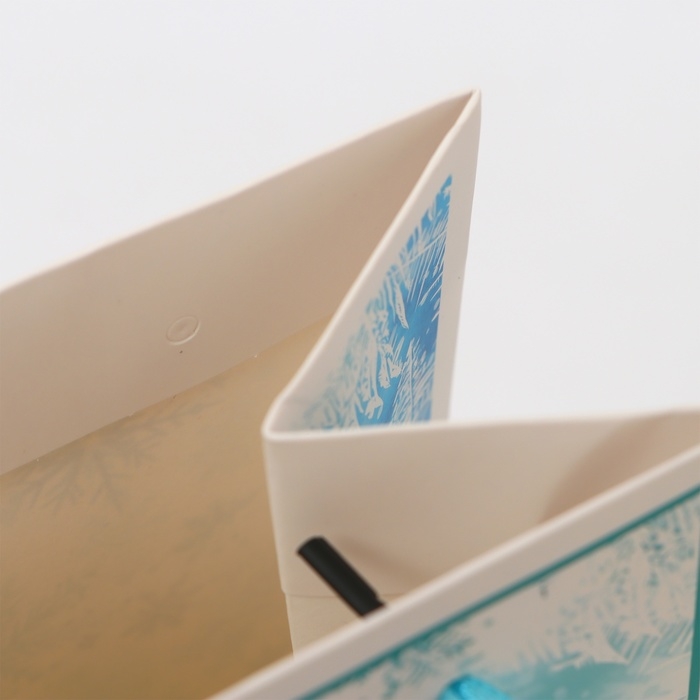 Пакет ламинированный &laquo;Сказке быть!&raquo;, MS 18 &times; 23 &times; 10 см