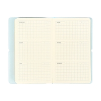 Планинг карманный недатированный, 80 листов, 100х170 мм, deVENTE.Jane, мягкая обложка ПВХ, на резинке, перфорация, ляссе, блок 70%, голубой