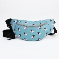 Поясная сумка на молнии, цвет голубой Поясная сумка на молнии, цвет голубой