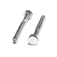 Шуруп-болт ТУНДРА, сантехнический, оцинкованный, DIN 571, М10х110 мм, 4,8 - 5 кг Шуруп-болт ТУНДРА, сантехнический, оцинкованный, DIN 571, М10х110 мм, 4,8 - 5 кг