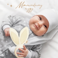 Подарочный набор новогодний: игрушка - пищалка и иигрушка - шуршалка &laquo;Зайка&raquo;, цвет бежевый