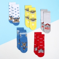 Набор детских носков 5 пар "Boy", PAW PATROL, 14-16 см