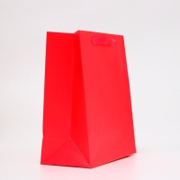 Пакет ламинированный &laquo;Фуксия&raquo;, ML 23 &times; 27 &times; 11.5 см