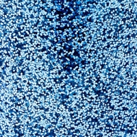 Набор для творчества &laquo;Декор: блёстки&raquo;