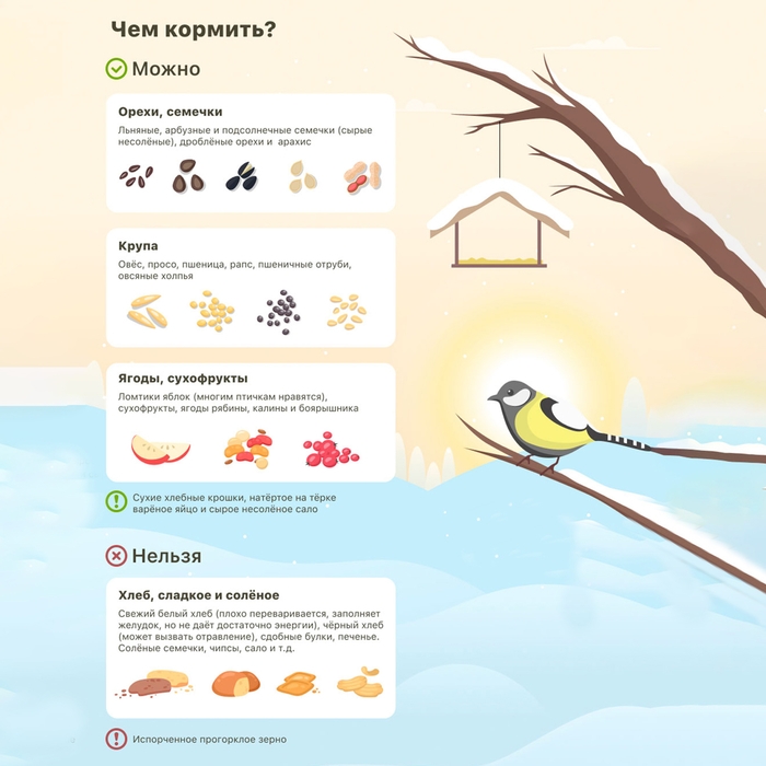 Скворечник для птиц, 40 &times; 19 &times; 19 см, Greengo