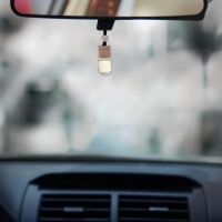 Ароматизатор в автомобиль на 23 Февраля &laquo;Герою&raquo;, аромат: цитрус