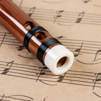 Флейта Music Life 56 см, тональность C