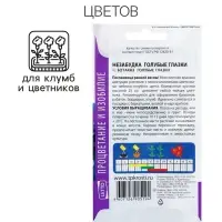 Семена цветов Незабудка "Голубые глазки", Мн, 0,1 г