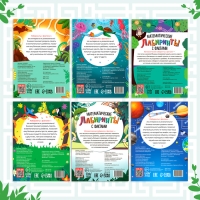 Набор обучающих книг &laquo;Лабиринты и факты&raquo;, 6 шт.