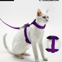 Комплект для кошек, ширина 1,5 см, ОШ 16,5-27 см, ОГ 21-35 см, поводок 120 см, фиолетовый