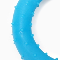 Игрушка жевательная суперпрочная "Два кольца", зелёная/синяя