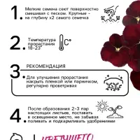 Семена Виола "Красное вино", 0,1 г