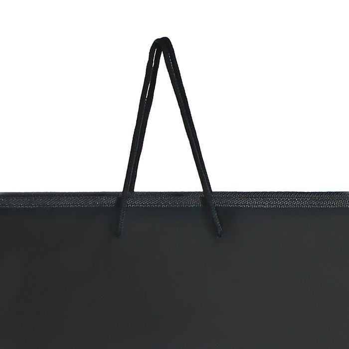 Папка для чертежей и рисунков А3, 460 х 320 х 25 мм, с ручками, пластиковая, молния вокруг, Папка для чертежей и рисунков А3, 460 х 320 х 25 мм, с ручками, пластиковая, молния вокруг, "Офис"