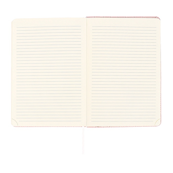 Ежедневник датированный 2025 A5 168 листов, deVENTE.Barbara, твердая обложка кожзам с поролоном, хлястик, перфорация, ляссе, блок 70, розовый Ежедневник датированный 2025 A5 168 листов, deVENTE.Barbara, твердая обложка кожзам с поролоном, хлястик, перфорация, ляссе, блок 70, розовый